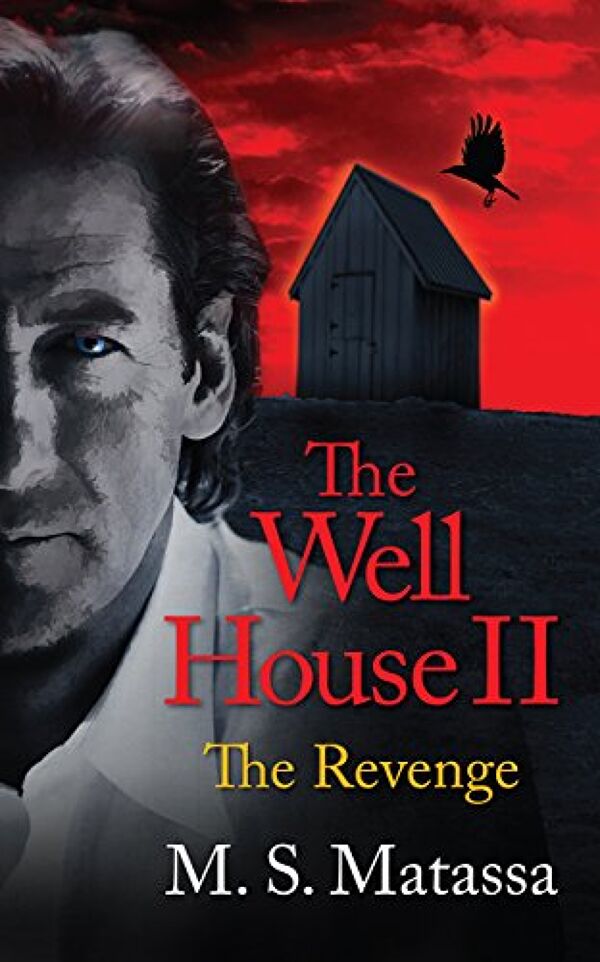 The Well House Ii The Revenge By M S Matassa Booklife