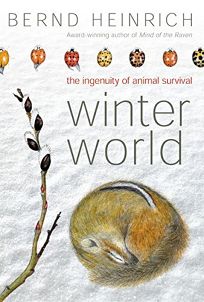 WINTER WORLD: The Ingenuity of Animal Survival