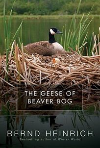 THE GEESE OF BEAVER BOG