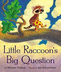 LITTLE RACCOONS BIG QUESTIONS