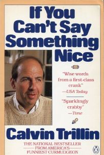 If You Cant Say Something Nice