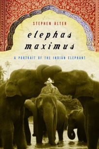 ELEPHAS MAXIMUS: A Portrait of the Indian Elephant