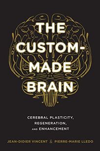 The Custom-Made Brain: Cerebral Plasticity