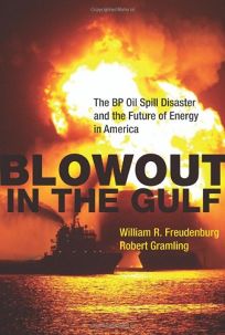 Blowout in the Gulf: The BP Oil Spill Disaster and the Future of Energy in America