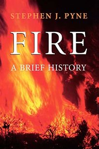 FIRE: A Brief History