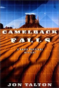 CAMELBACK FALLS: A David Mapstone Mystery