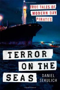 Terror on the Seas: True Tales of Modern-Day Pirates