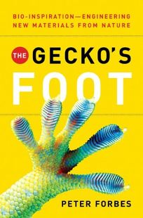 The Geckos Foot: Bio-inspiration—Engineering New Materials from Nature