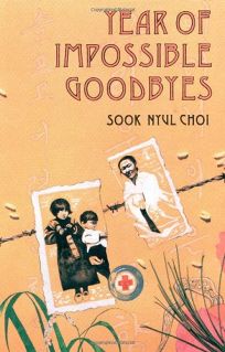Year of Impossible Goodbyes