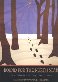 Bound for the North Star: True Stories of Fugitive Slaves