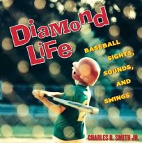 DIAMOND LIFE: Baseball Sights