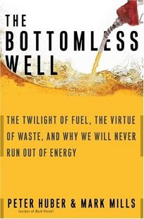 Nonfiction Book Review The Bottomless Well The Twilight Of Fuel The Virtue Of Waste And Why