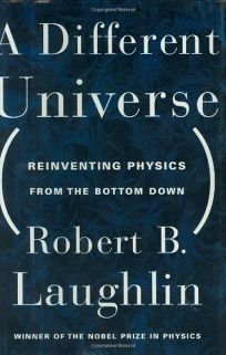 A DIFFERENT UNIVERSE: Reinventing Physics from the Bottom Down