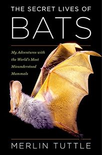The Secret Lives of Bats: My Adventures with the Worlds Most Misunderstood Mammals