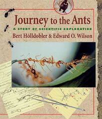 Nonfiction Book Review Journey To The Ants A Story Of