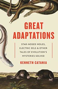 Great Adaptations: Star-Nosed Moles