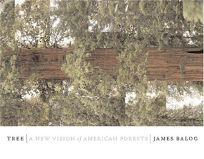 Tree: A New Vision of the American Forest