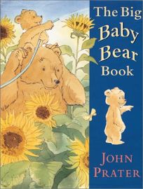 The Big Baby Bear Book