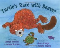 Turtles Race with Beaver