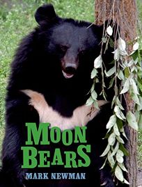 Moon Bears