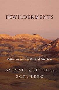 Bewilderments: Reflections on the Book of Numbers