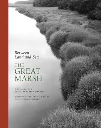Between Land and Sea: The Great Marsh