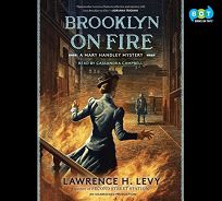 Brooklyn on Fire: A Mary Handley Mystery