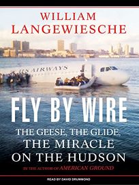 Fly by Wire: The Geese