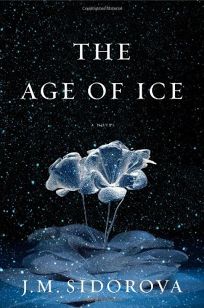 The Age of Ice