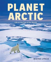 Planet Arctic: Life at the Top of the World 