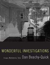Wonderful Investigations: Essays