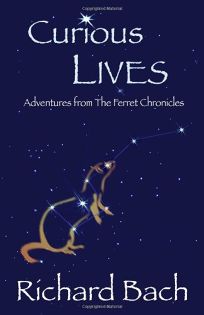 Curious Lives: Adventures from The Ferret Chronicles