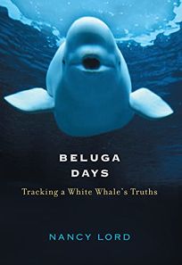 BELUGA DAYS: Tracking a White Whales Truths