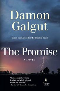 review novel promise