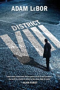 District VIII