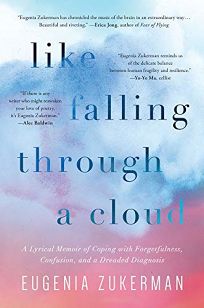 Like Falling Through a Cloud: A Lyrical Memoir