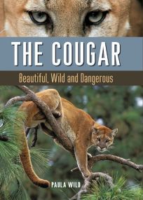 The Cougar: Beautiful